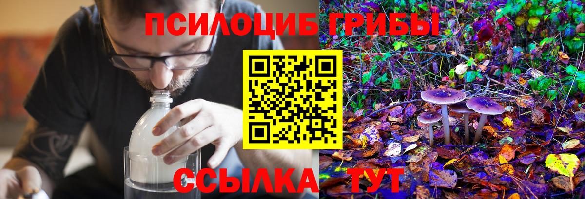 Галлюциногенные грибы Magic Shrooms Анжеро-Судженск