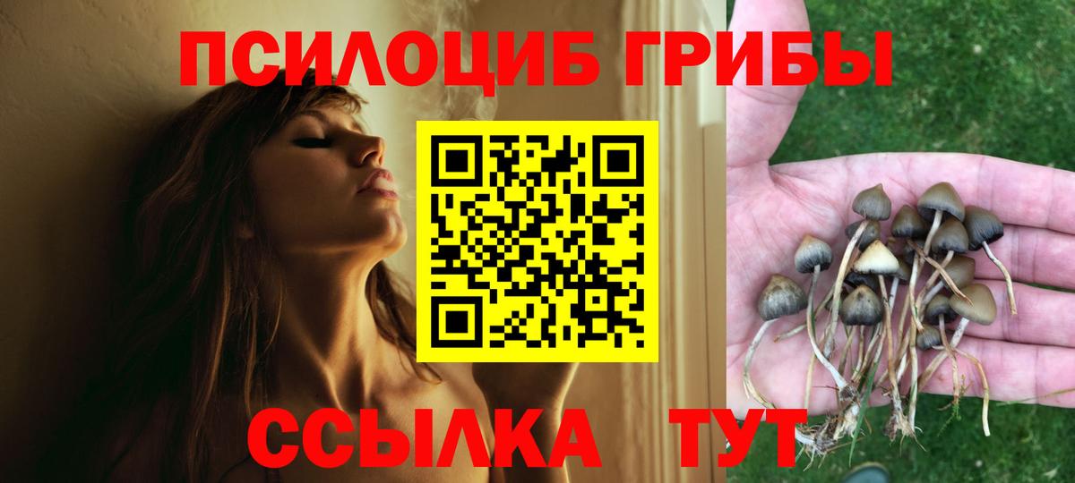 Анжеро-Судженск  Псилоцибиновые грибы Psilocybe  Вход с VPN 
